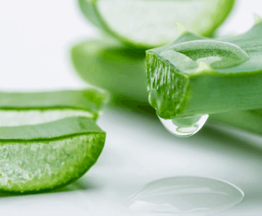 Aloe Vera Juice Health Benefits